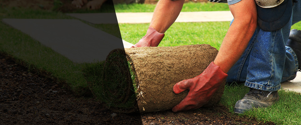 Flowery Branch Landscapers